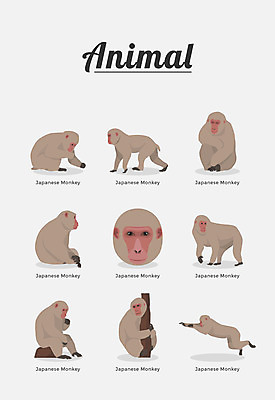 동물 여러마리 일러스트 포유류 종류 사람없음 원숭이 일본원숭이 국내일러스트 AI파일 다수 파일형식 벡터