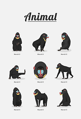 동물 여러마리 일러스트 포유류 종류 사람없음 원숭이 긴꼬리원숭이 국내일러스트 AI파일 다수 파일형식 벡터