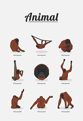 동물 여러마리 일러스트 포유류 종류 사람없음 오랑우탄 국내일러스트 AI파일 다수 파일형식 벡터