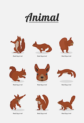 동물 여러마리 일러스트 포유류 종류 사람없음 청설모 국내일러스트 AI파일 다수 파일형식 벡터