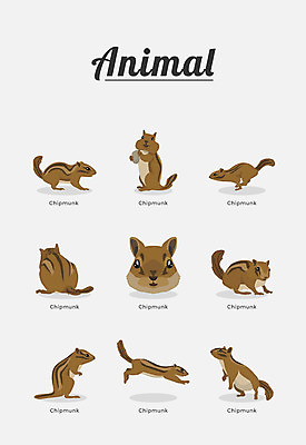 동물 여러마리 일러스트 포유류 종류 사람없음 다람쥐 국내일러스트 AI파일 다수 설치류 파일형식 벡터