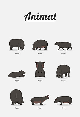 동물 여러마리 일러스트 포유류 종류 사람없음 하마 국내일러스트 AI파일 다수 파일형식 벡터