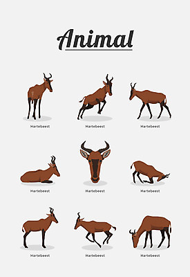 동물 여러마리 일러스트 포유류 사슴 종류 사람없음 영양_동물 국내일러스트 AI파일 다수 파일형식 벡터