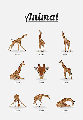 동물 여러마리 일러스트 포유류 종류 사람없음 기린 국내일러스트 AI파일 다수 파일형식 벡터