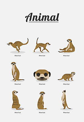 동물 여러마리 일러스트 포유류 종류 사람없음 몽구스 미어캣 국내일러스트 AI파일 다수 파일형식 벡터