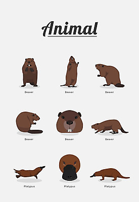 동물 여러마리 일러스트 포유류 종류 사람없음 비버 오리너구리 국내일러스트 AI파일 다수 파일형식 벡터