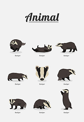 동물 여러마리 일러스트 포유류 종류 사람없음 오소리 국내일러스트 AI파일 다수 파일형식 벡터