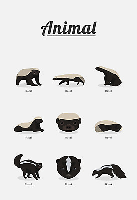 동물 여러마리 일러스트 포유류 종류 사람없음 스컹크 국내일러스트 AI파일 다수 파일형식 벡터