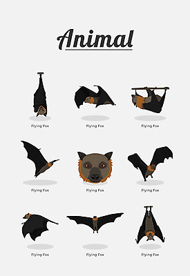 동물 여러마리 일러스트 포유류 종류 사람없음 박쥐 국내일러스트 AI파일 다수 파일형식 벡터