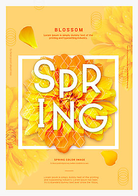 도형 PSD 편집이미지 꽃잎 꽃 사각프레임 프레임 타이포그라피 사람없음 노란색 봄 원형 이미지편집 식물 문자 계절 컬러 사각형 파일형식