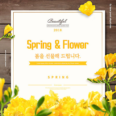 PSD 편집이미지 꽃 프레임 선물 이벤트 사람없음 목재 노란색 봄 나무바닥 프리지어 이미지편집 나무 식물 계절 컬러 재료 바닥 파일형식
