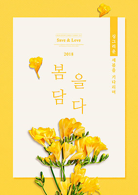 PSD 편집이미지 꽃잎 꽃 사람없음 노란색 봄 싱그러움 프리지어 이미지편집 식물 계절 컬러 파일형식