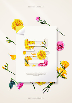 PSD 편집이미지 꽃잎 꽃 나뭇잎 타이포그라피 사람없음 장미 봄 꽃봉오리 프리지어 이미지편집 식물 문자 계절 잎 파일형식