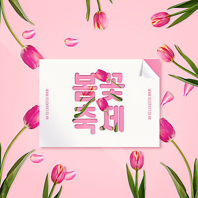 PSD 편집이미지 분홍색 사각프레임 프레임 이벤트 타이포그라피 사람없음 축제 봄 튤립 이미지편집 문자 계절 꽃 컬러 사각형 파일형식