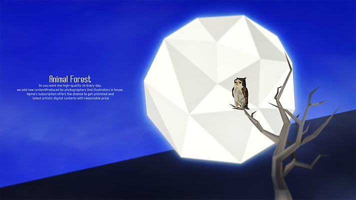 PSD 편집이미지 한마리 사람없음 3D 달 나뭇가지 야간 디지털합성 부엉이 폴리곤 편집3D 자연요소 나무 1 조류 파일형식