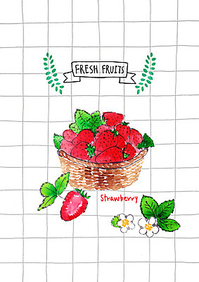PSD 잎 과일 일러스트 딸기 사람없음 바구니 여러개 신선 딸기꽃 국내일러스트 식물 꽃 다수 파일형식