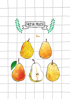 PSD 잎 과일 일러스트 단면 사람없음 여러개 신선 배 국내일러스트 식물 다수 파일형식