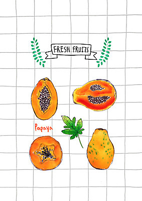 PSD 잎 과일 일러스트 단면 사람없음 신선 열대과일 파파야 국내일러스트 식물 파일형식