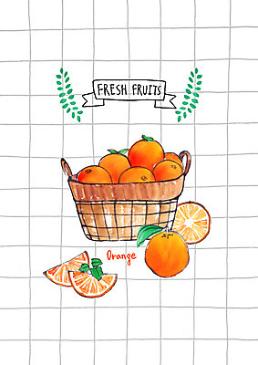 PSD 오렌지 과일 일러스트 사람없음 바구니 여러개 신선 오렌지조각 국내일러스트 다수 파일형식