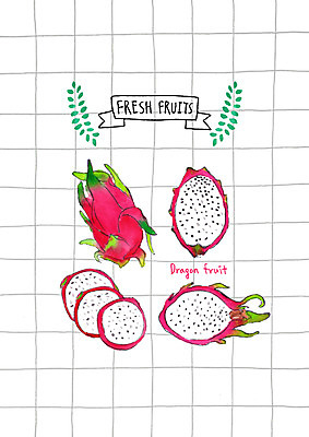 PSD 조각 잎 과일 일러스트 사람없음 신선 열대과일 용과 국내일러스트 식물 파일형식