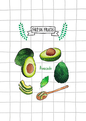 PSD 잎 과일 일러스트 씨앗 사람없음 숟가락 여러개 신선 아보카도 국내일러스트 식물 다수 수저 파일형식