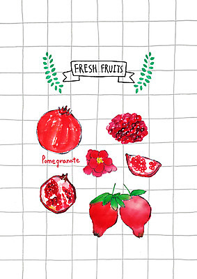 PSD 꽃 과일 일러스트 사람없음 신선 낟알 석류 석류알 석류열매 국내일러스트 식물 열매 파일형식