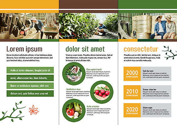 전신 PSD 템플릿 편집 표지디자인 북디자인 출판디자인 남자 내지 리플렛 북커버 3단접지 방울토마토 고추 앉기 팜플렛 20대 성인 두명 농사 한국인 건초더미 농부 젖소 따기 청년농부 이미지템플릿 직업 농업 토마토 채소 모션 사람 동양인 청년 소 건초 파일형식 더미