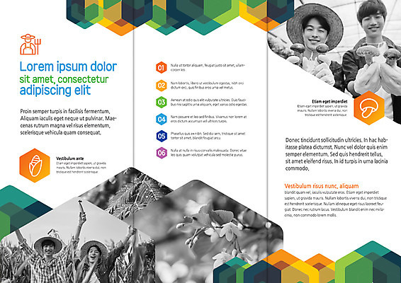 PSD 템플릿 편집 표지디자인 북디자인 출판디자인 남자 내지 리플렛 북커버 3단접지 팜플렛 상반신 20대 성인 두명 농사 버섯 한국인 농부 청년농부 이미지템플릿 직업 농업 사람 동양인 청년 파일형식