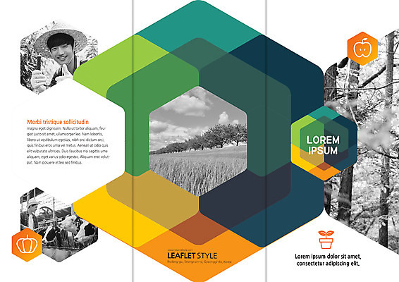 PSD 나무 템플릿 편집 표지디자인 북디자인 출판디자인 표지 남자 리플렛 북커버 3단접지 팜플렛 초원 상반신 20대 청년 성인 두명 한국인 농부 젖소 논밭 청년농부 이미지템플릿 식물 직업 밭 논 사람 동양인 소 파일형식