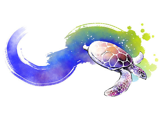 PSD 동물 한마리 캘리배경 일러스트 캘리그라피 붓터치 사람없음 수영 거북이 번짐 국내일러스트 1 백그라운드 파충류 수상스포츠 파일형식 효과