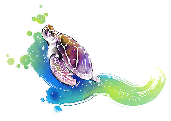 PSD 동물 한마리 캘리배경 일러스트 캘리그라피 붓터치 사람없음 수영 거북이 번짐 국내일러스트 1 백그라운드 파충류 수상스포츠 파일형식 효과