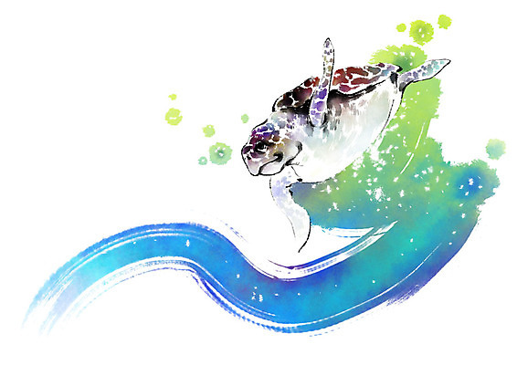 PSD 동물 한마리 캘리배경 일러스트 캘리그라피 붓터치 사람없음 수영 거북이 번짐 국내일러스트 1 백그라운드 파충류 수상스포츠 파일형식 효과