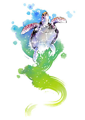 PSD 동물 한마리 캘리배경 일러스트 캘리그라피 붓터치 사람없음 수영 거북이 번짐 국내일러스트 1 백그라운드 파충류 수상스포츠 파일형식 효과