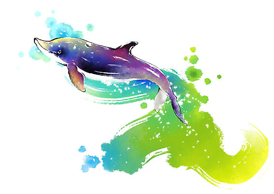 PSD 동물 한마리 캘리배경 일러스트 캘리그라피 붓터치 사람없음 보라색 수영 수중동물 돌고래 번짐 국내일러스트 1 컬러 백그라운드 포유류 수상스포츠 파일형식 효과