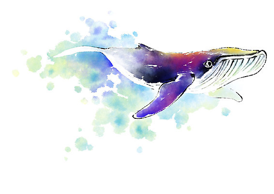 PSD 동물 한마리 캘리배경 일러스트 캘리그라피 붓터치 사람없음 수영 수중동물 고래 번짐 국내일러스트 1 백그라운드 포유류 수상스포츠 파일형식 효과