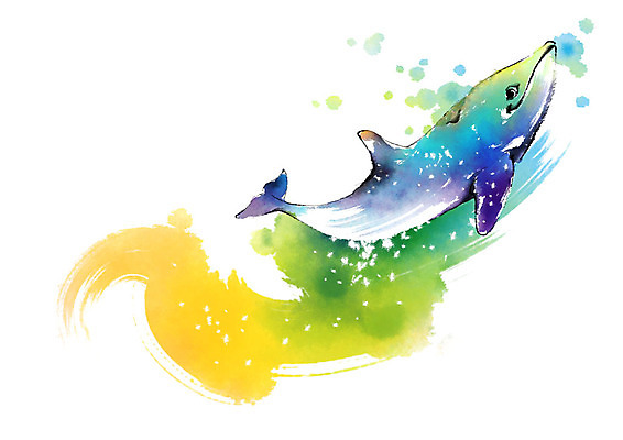 PSD 동물 한마리 캘리배경 일러스트 캘리그라피 붓터치 사람없음 수영 수중동물 돌고래 번짐 국내일러스트 1 백그라운드 포유류 수상스포츠 파일형식 효과