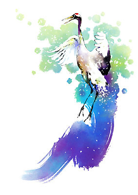 PSD 동물 한마리 캘리배경 일러스트 캘리그라피 붓터치 사람없음 학 비행 물보라 번짐 국내일러스트 1 백그라운드 조류 물 파일형식 효과