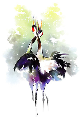 PSD 동물 캘리배경 두마리 일러스트 캘리그라피 붓터치 서기 사람없음 학 춤 번짐 국내일러스트 백그라운드 2 모션 조류 문화예술 파일형식 효과