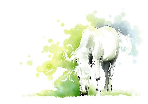 PSD 동물 한마리 캘리배경 일러스트 캘리그라피 붓터치 사람없음 흰색 말_동물 풀잎 먹기 번짐 백마 국내일러스트 1 컬러 백그라운드 잎 포유류 모션 풀_식물 파일형식 효과