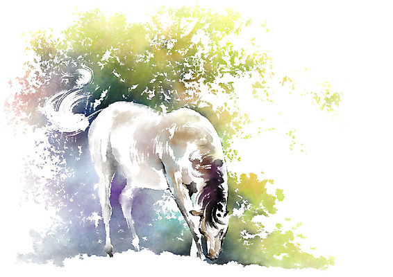 PSD 동물 한마리 캘리배경 일러스트 캘리그라피 붓터치 서기 사람없음 말_동물 먹기 번짐 국내일러스트 1 백그라운드 포유류 모션 파일형식 효과