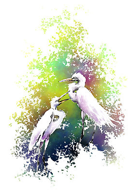 PSD 나무 동물 캘리배경 두마리 일러스트 캘리그라피 붓터치 입벌림 서기 사람없음 숲 왜가리 번짐 국내일러스트 식물 백그라운드 2 모션 조류 표정 파일형식 효과