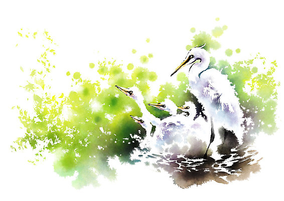 PSD 동물 새끼 캘리배경 여러마리 일러스트 캘리그라피 붓터치 사람없음 물가 어미 숲 왜가리 번짐 국내일러스트 다수 백그라운드 조류 풍경 파일형식 효과