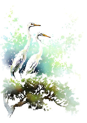 PSD 동물 캘리배경 두마리 일러스트 캘리그라피 붓터치 앉기 사람없음 나뭇가지 왜가리 번짐 국내일러스트 나무 백그라운드 2 모션 조류 파일형식 효과