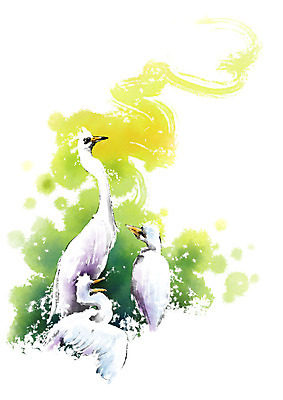 PSD 동물 캘리배경 일러스트 캘리그라피 붓터치 세마리 서기 앉기 사람없음 초록색 노란색 흰색 왜가리 번짐 국내일러스트 컬러 백그라운드 모션 조류 3 파일형식 효과