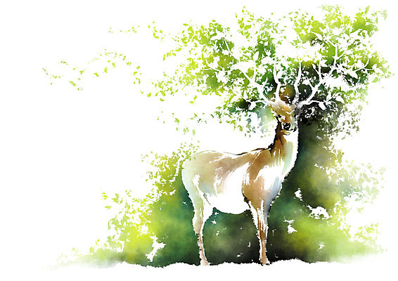 PSD 나무 동물 한마리 캘리배경 일러스트 캘리그라피 붓터치 사슴 사람없음 나뭇가지 숲 번짐 사슴뿔 국내일러스트 식물 1 백그라운드 포유류 뿔 파일형식 효과