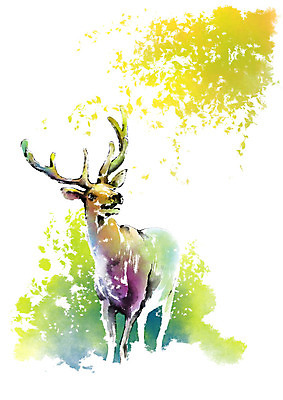 PSD 나무 동물 한마리 캘리배경 일러스트 캘리그라피 붓터치 사슴 사람없음 숲 번짐 사슴뿔 국내일러스트 식물 1 백그라운드 포유류 뿔 파일형식 효과