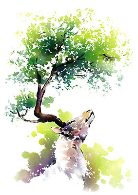 PSD 나무 동물 한마리 캘리배경 일러스트 캘리그라피 붓터치 사슴 사람없음 나뭇가지 숲 번짐 사슴뿔 국내일러스트 식물 1 백그라운드 포유류 뿔 파일형식 효과