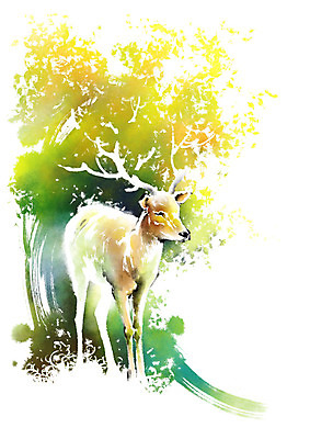 PSD 나무 동물 한마리 캘리배경 일러스트 캘리그라피 붓터치 사슴 사람없음 노란색 나뭇가지 숲 번짐 사슴뿔 국내일러스트 식물 1 컬러 백그라운드 포유류 뿔 파일형식 효과