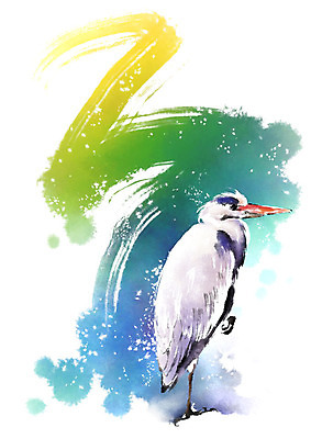 PSD 동물 한마리 캘리배경 일러스트 캘리그라피 붓터치 사람없음 초록색 노란색 왜가리 번짐 한발서기 국내일러스트 1 컬러 백그라운드 조류 서기 파일형식 효과