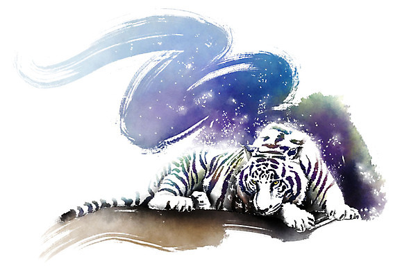 PSD 동물 한마리 엎드리기 캘리배경 일러스트 캘리그라피 붓터치 사람없음 흰색 호랑이 번짐 백호 국내일러스트 1 컬러 백그라운드 포유류 모션 파일형식 효과 사방신